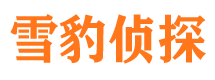 瀍河侦探公司